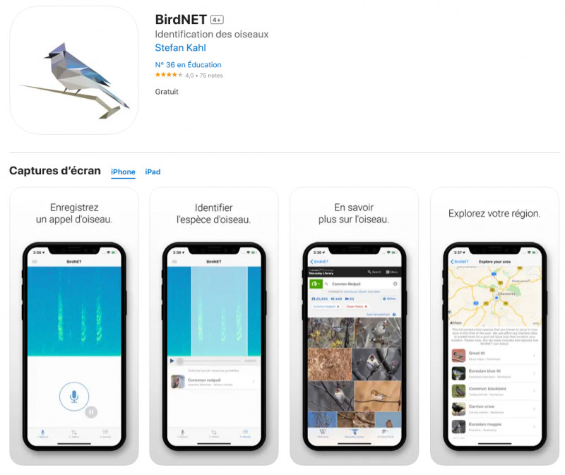 BirdNET, une appli qui reconnait le chant des oiseaux