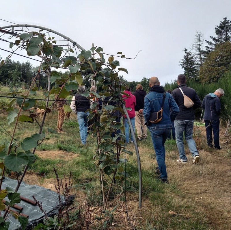 Visite de la pépinière Gwez à Argol