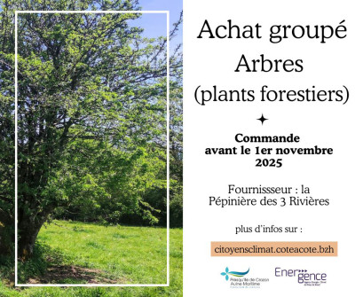Achat groupé d’arbres forestiers jusqu’au 1er novembre 2025
